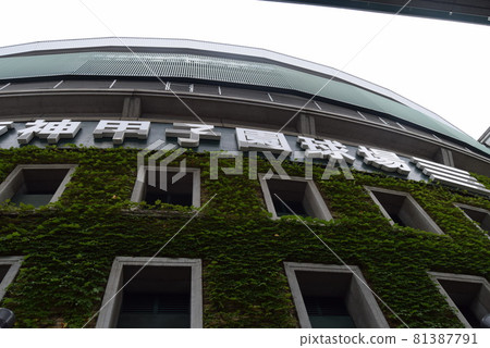 甲子園體育場 甲子園體育場 81387791