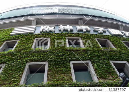 甲子園體育場 甲子園體育場 81387797