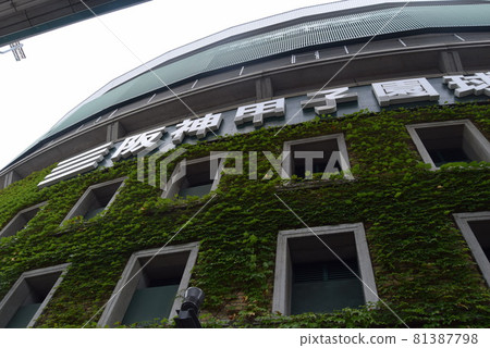 甲子園體育場 81387798