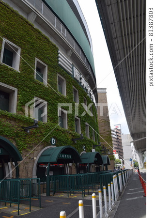 甲子園體育場 甲子園體育場 81387803