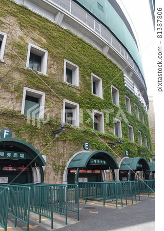 Koshien stadium 81387806