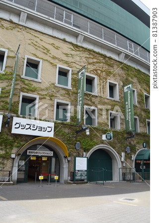 甲子園體育場 甲子園體育場 81387903