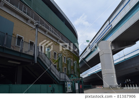 甲子園體育場 81387906