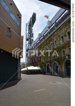 甲子園體育場 甲子園體育場 81387908
