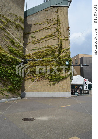 Koshien stadium 81387931