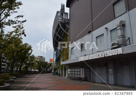 甲子園體育場 81387985