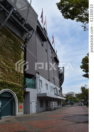 甲子園體育場 81388010