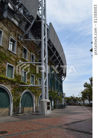 甲子園體育場 甲子園體育場 81388083