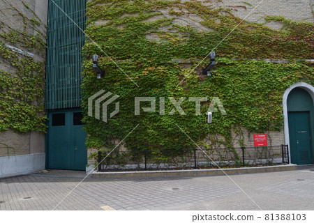 甲子園體育場 甲子園體育場 81388103