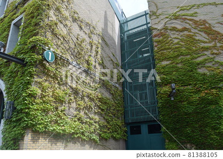 Koshien stadium 81388105