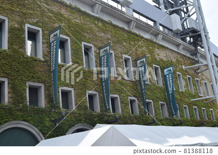 甲子園體育場 81388118