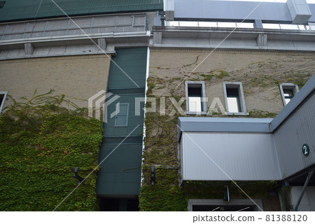 Koshien stadium Koshien stadium 81388120