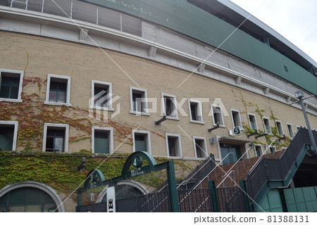 Koshien stadium 81388131