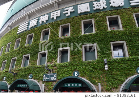 甲子園體育場 甲子園體育場 81388161
