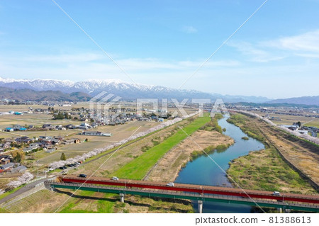 Aerial view of cherry blossoms on the Kaji River Aerial view of cherry blossoms on the Kaji River 81388613