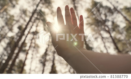 A man's hand in the rays of the sun reaches for the sky, time to dream and travel, to pray asking for help in life, religious beliefs of different nationalities, the slow motion of a moving hand in A man's hand in the rays of the sun reaches for the sky, time to dream and travel, to pray asking for help in life, religious beliefs of different nationalities, the slow motion of a moving hand in 81388770
