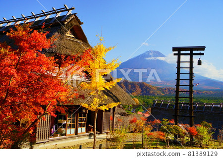 Saiko Iyashi no Sato Neba Autumn leaves, thatched roof, and the first snowfall over the half bell Fuji 81389129