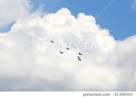 Formation flight 81389505