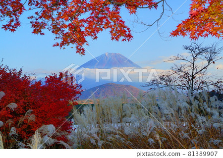 正寺湖湖邊白雪皚皚的孩子抱著透過秋葉看到的富士 正寺湖湖邊白雪皚皚的孩子抱著透過秋葉看到的富士 81389907