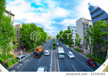 Kannana-dori Avenue 上的交通：東京的主要道路 [交通圖片] 81390165