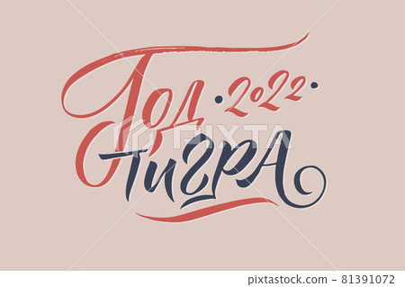 Hand drawn Russian phrase Happy New Year in calligraphic style. Elegant holidays decoration with custom typography and hand lettering for your design. Happy New Year 2022 Russian Calligraphy. Greeting 81391072