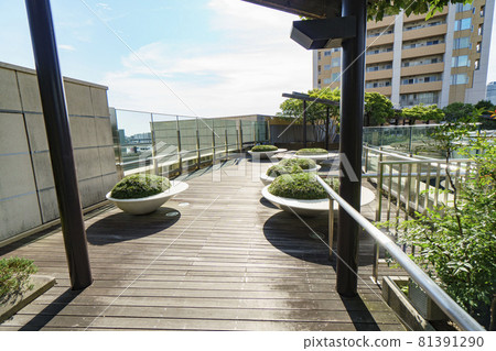 Namba Parks Parks Garden Roof Garden Resting Place August 2021 81391290