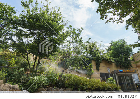 Namba Parks Summer Parks Garden August 2021 Namba Parks Summer Parks Garden August 2021 81391327
