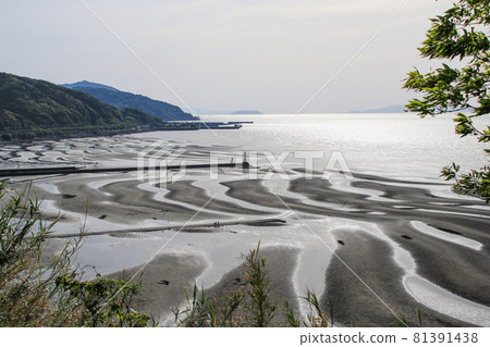 The coast of Okoko The coast of Okoko 81391438