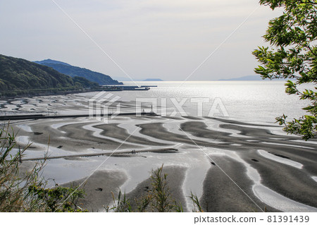 The coast of Okoko The coast of Okoko 81391439