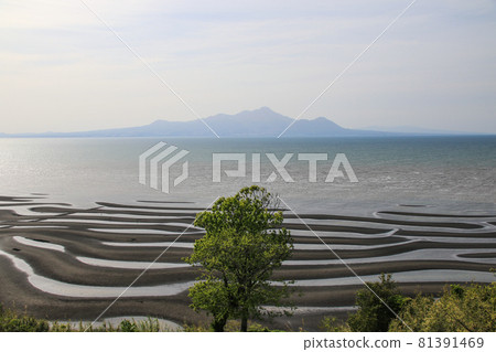 The coast of Okoko 81391469