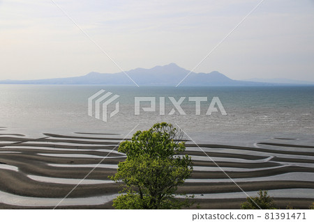 奧科科海岸 81391471