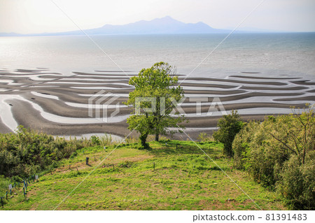 奧科科海岸 奧科科海岸 81391483