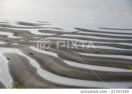 The coast of Okoko The coast of Okoko 81391489