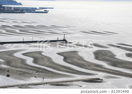 The coast of Okoko The coast of Okoko 81391499
