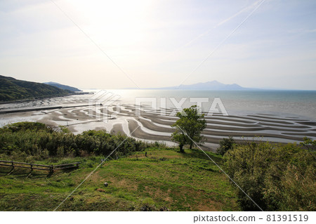 奧科科海岸 81391519