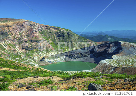 藏王銀杏 81391761