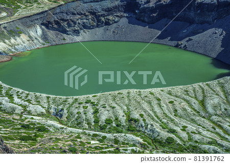 藏王銀杏 81391762