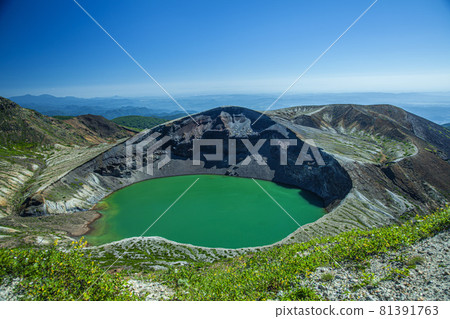 藏王銀杏 81391763