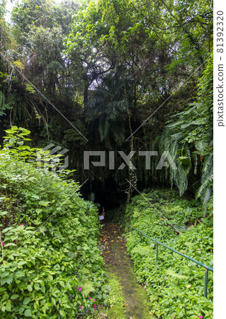 鹿兒島縣衝野良部島的倉子住吉 鹿兒島縣衝野良部島的倉子住吉 81392320