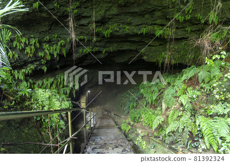 Sumiyoshi Kurago on Okinoerabujima, Kagoshima Prefecture Sumiyoshi Kurago on Okinoerabujima, Kagoshima Prefecture 81392324