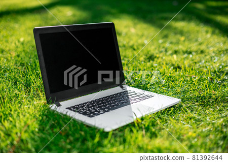 Laptop with blank screen on green lawn 81392644