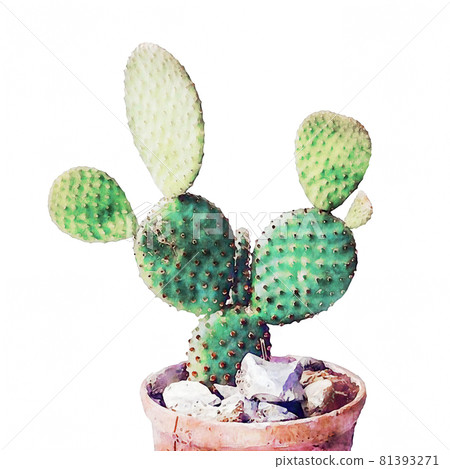 Abstract beautiful watercolor cactus and flower Abstract beautiful watercolor cactus and flower 81393271
