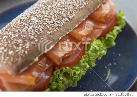 Salmon sandwich 81393853