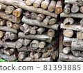 Stacked log wood 81393885