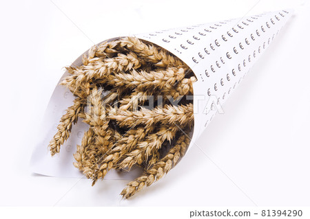 The corn in a paper cone with currency symbol The corn in a paper cone with currency symbol 81394290