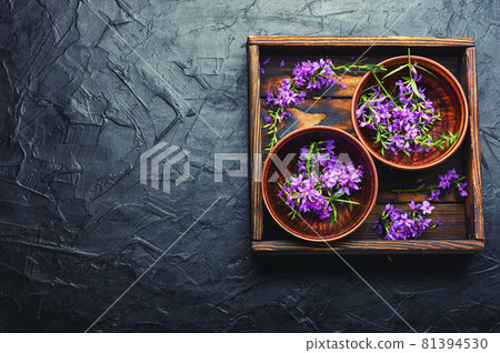 Willow-herb or blooming sally,space for text Willow-herb or blooming sally,space for text 81394530