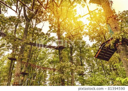 Rope Park among the trees 81394590