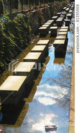 Scenery of Angyodewa Green Road Scenery of Angyodewa Green Road 81395008