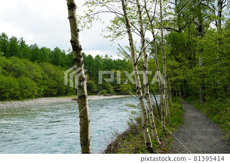 Traveled to Kamikochi and Hotaka Federation. Azusa River slowly spends time in the water. Traveled to Kamikochi and Hotaka Federation. Azusa River slowly spends time in the water. 81395414