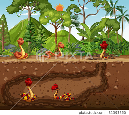 Underground animal burrow with snake family 81395860